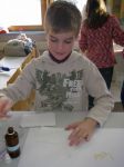 Hauptschule (22)